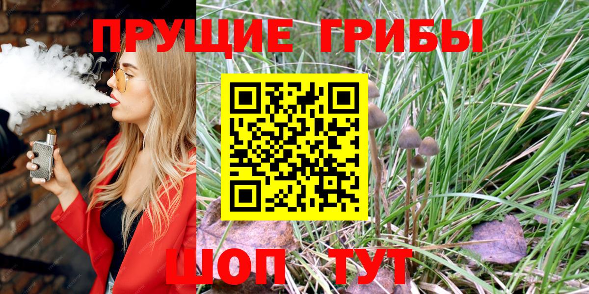 купить наркоту  Галлюциногенные грибы Psilocybe  Вход с VPN  Рубцовск 